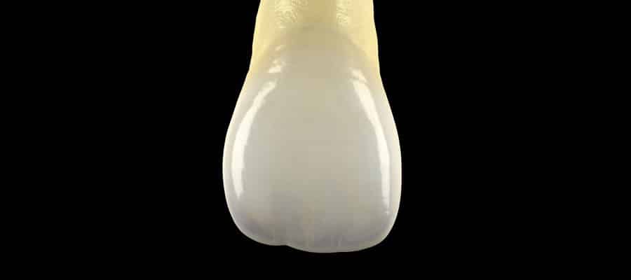 Ceramica Integrale Laboratorio Odontotecnico